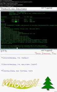 CBT Nuggets - Cisco 642-813 CCNP SWITCH (Repost)