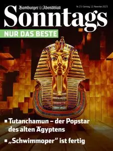 Hamburger Abendblatt Sonntags - 12 November 2023