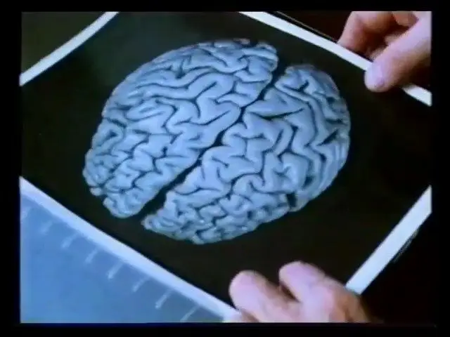 BBC - Relics: Einstein's Brain (1994) / AvaxHome