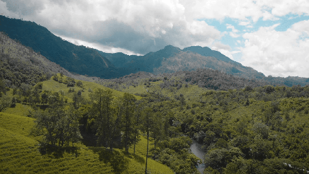 Guatemala: Heart of the Mayan World / Guatemala: Corazón del Mundo Maya (2019)