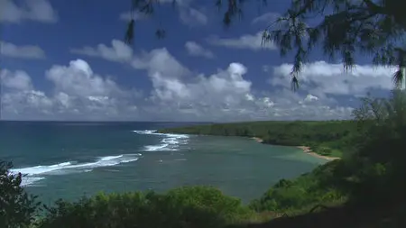 HDScape: HD Window - Hawaii / HDScape: Гавайи (2005)
