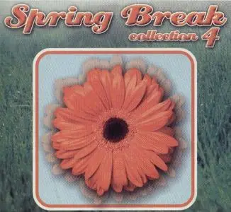 Spring Break Collection Disc 4 - VA
