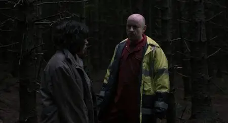 Under the Skin (2013)