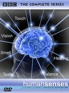 BBC: Human Senses [Complete 3 Episodes]