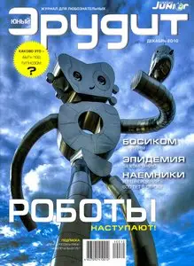 Юный эрудит №12 (декабрь 2010)