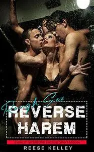 Reverse Harem Rough Sex: Explicit Forbidden Erotica Short Stories (English Edition)