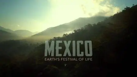 BBC - Mexico: Earth's Festival of Life (2017)