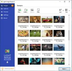 Light Image Resizer 6.0.0.10 Beta Multilingual + Portable