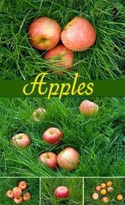 Apples