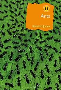 Ants: The ultimate social insects (British Wildlife Collection)