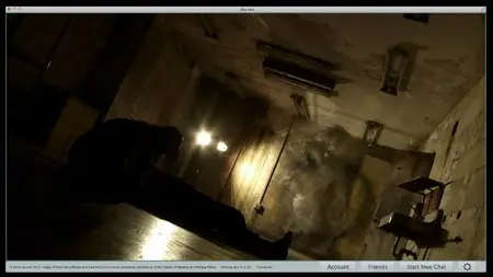The Den (2013)