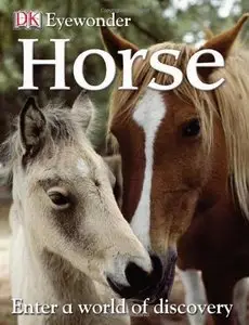 Horse (Eye Wonder) (repost)