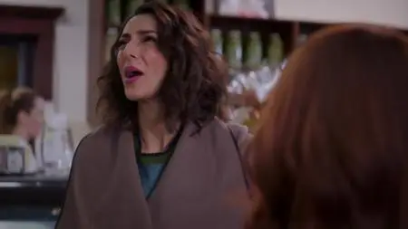 Girlfriends' Guide to Divorce S04E04