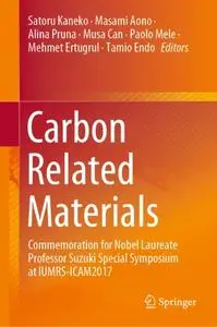 Carbon Related Materials: Commemoration for Nobel Laureate Professor Suzuki Special Symposium at IUMRS-ICAM2017