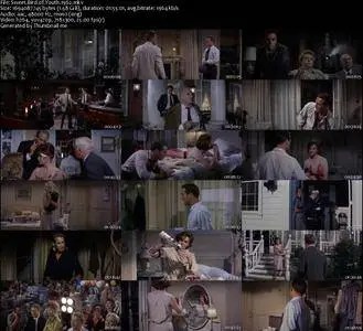 Sweet Bird of Youth (1962) [Repost]