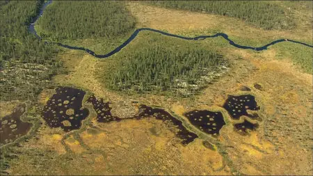 Wild Scandinavia / Wildes Skandinavien / Дикая природа Скандинавии (2011) 