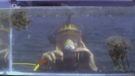 Discovery Channel - Attack of the Giant Jellyfish (2013)