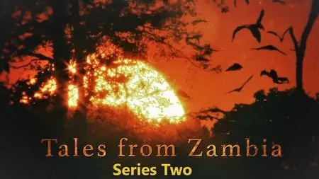 Smithsonian Ch. - Tales from Zambia: Series 2 (2017)