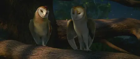 Legend of the Guardians: The Owls of Ga'Hoole / Легенды ночных стражей (2010)
