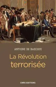 Antoine de Baecque, "La révolution terrorisée"