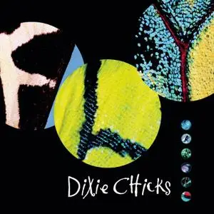 Dixie Chicks - Fly (1999/2016) [Official Digital Download 24/192]