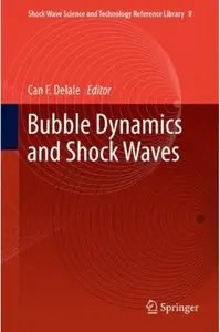 Bubble Dynamics and Shock Waves [Repost]