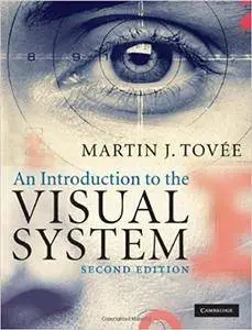 An Introduction to the Visual System (Repost)