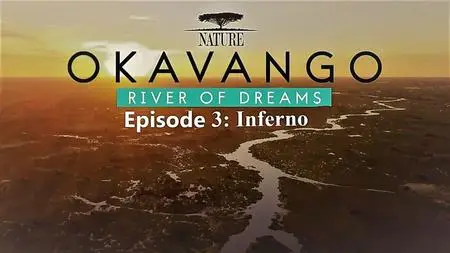 PBS - Nature Series 38 Part 6: Okavango: River of Dreams :Episode 3 Inferno (2019)