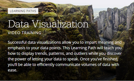 O'Reilly Media - Learning Path: Data Visualization