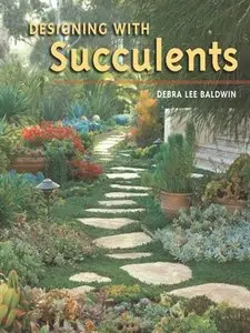 Designing with Succulents (repost)