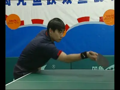 Excellent World Champions - Teach You How To Play Table Tennis (16DVDs)