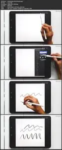 Procreate 5X for Beginners