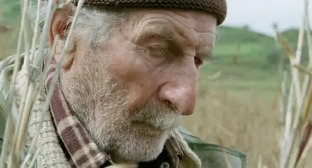 Le quattro volte (2010)