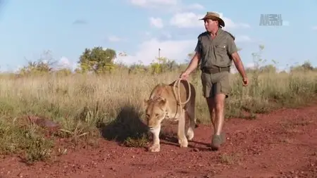 Discovery Channel - Lion Man: One World African Safari (2015)