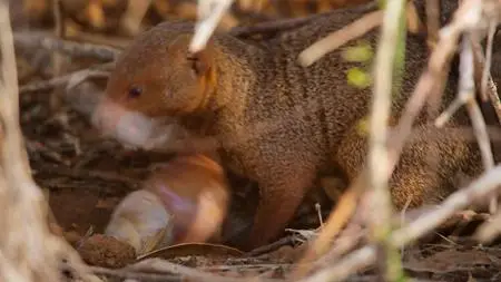 Our Great National Parks S01E03