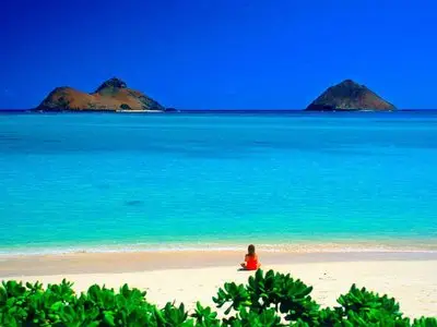 The nature of summer, the sea and oceans