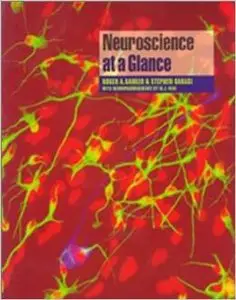Neuroscience At A Glance by Roger Barker