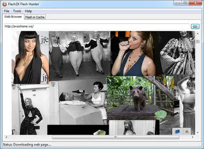 Flash2X Flash Hunter 3.1.0