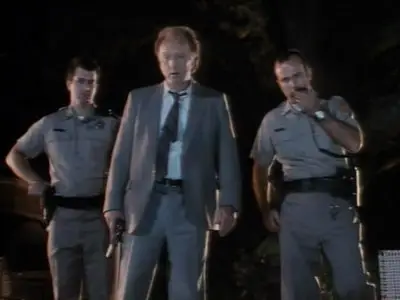 The Babysitter's Seduction (1996)