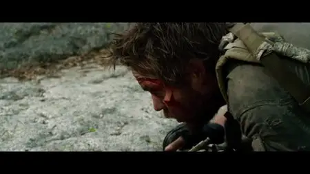 Lone Survivor (2013)