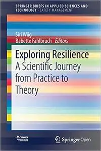 Exploring Resilience: A Scientific Journey from Practice to Theory