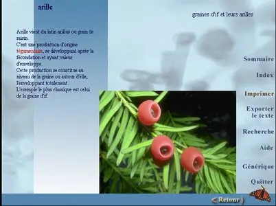 L'encyclopédie pratique des plantes médicinales et usuelles