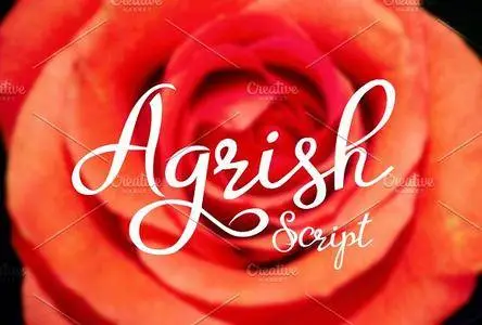 CreativeMarket - Agrish 2555473