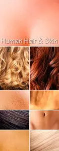 Stock Photo - Human Hair and Skin