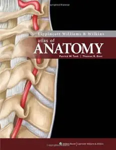 Atlas of Anatomy  [Repost]