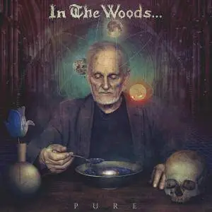 In The Woods... - Pure (2016)