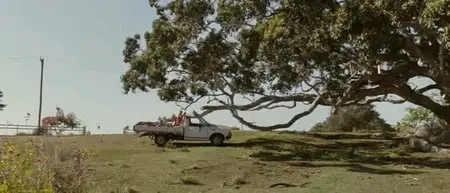 L'Albero (2010)