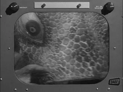 The Outer Limits S01E13