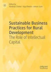 Sustainable Business Practices for Rural Development: The Role of Intellectual Capital