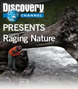 Discovery Channel Raging Nature - Swarms and Stampedes (2010)